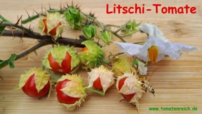 Litschi - Tomate