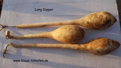 Long Dipper - Weinheber Kalebasse