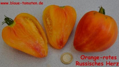 Orange Russian - Herztomate rot-orange geflammt