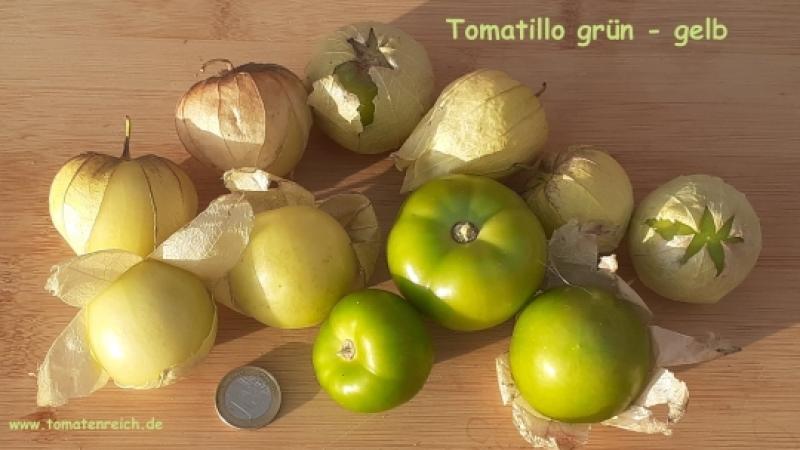 Tomatillo grün