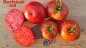Preview: Beefsteak - rote Fleischtomate
