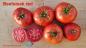Preview: Beefsteak - rote Fleischtomate