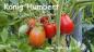 Preview: "König Humbert" Tomate