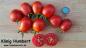 Preview: "König Humbert" Tomate