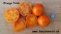 Preview: Coastal Pride Orange - Dwarf Tomate