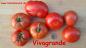 Preview: Vivagrande - Freiland-Fleischtomate
