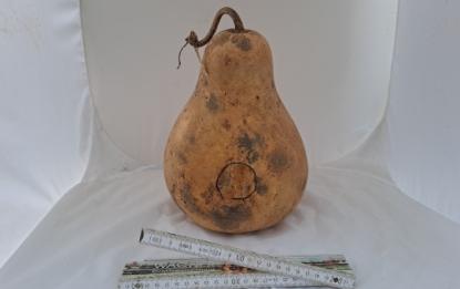 Kalebasse mit Bauch und Hals  26 cm Typ  "Kettle Gourd"