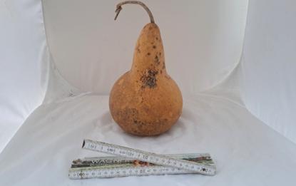 Preview: Kalebasse mit Bauch und Hals  24 cm Typ  "Bianca"