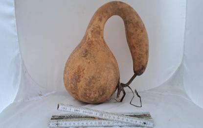 Kalebasse mit Bauch, Hals und Kopf 32 cm Typ  "Speckled Swan"