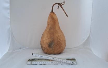 Kalebasse mit Bauch und Hals  28 cm Typ  "Kettle Gourd" - "Birne"