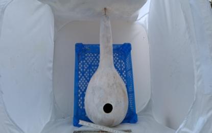 Kalebasse mit Bauch und Hals  52  cm Typ  "Long Bianca" grundiert