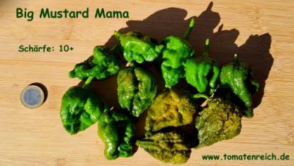 Big Mustard Mama - Chili