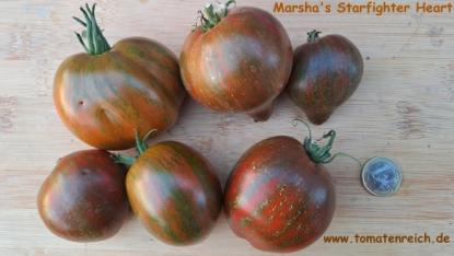 Preview: Marsha's Starfighter Tomate