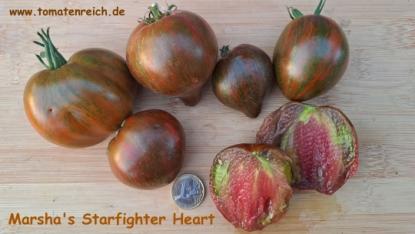 Preview: Marsha's Starfighter Tomate