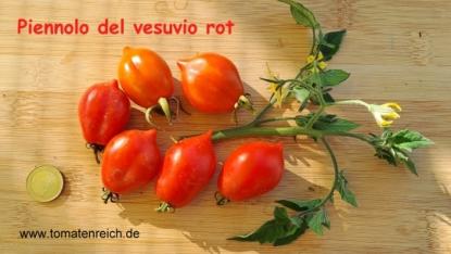 Piennolo del Vesuvia rot