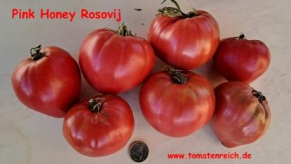 Pink Honey Rosovij  - Herztomate