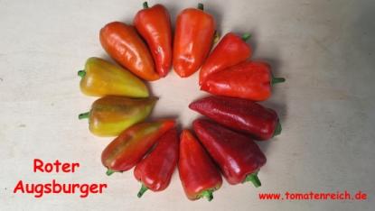 Preview: Roter Augsburger Paprika