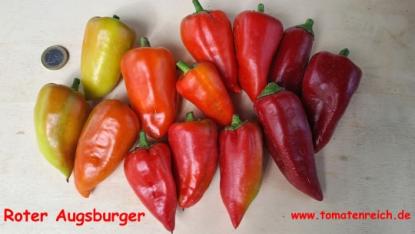Roter Augsburger Paprika