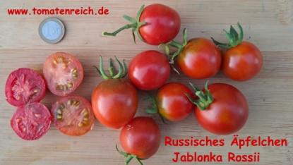 Russischer Apfel - Jablonka Rossii