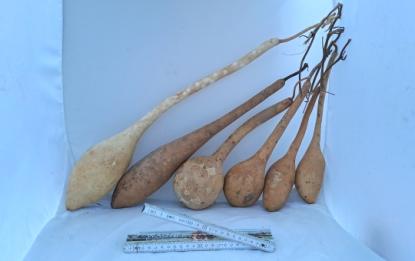 Kalebassen – Sparpaket 6 große + mittelgroße "Long  Bianca & Dipper"