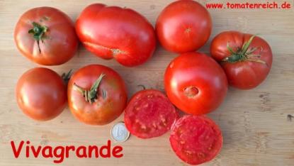 Vivagrande - Freiland-Fleischtomate