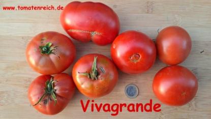 Preview: Vivagrande - Freiland-Fleischtomate