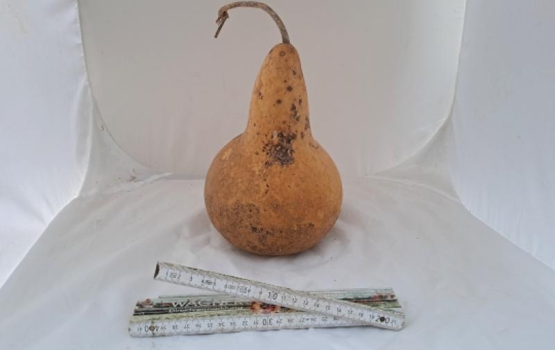 Kalebasse mit Bauch und Hals  24 cm Typ  "Bianca"