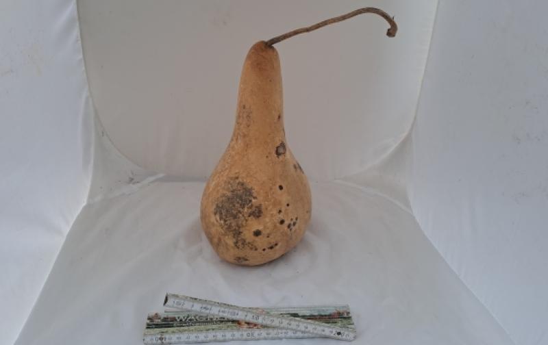 Kalebasse mit Bauch und Hals 30 cm Typ   "Bianca"