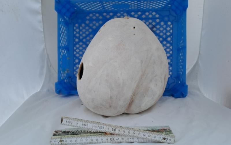 Kalebasse mit Bauch, birnenförmig 25 cm Typ  "Bottle" grundiert