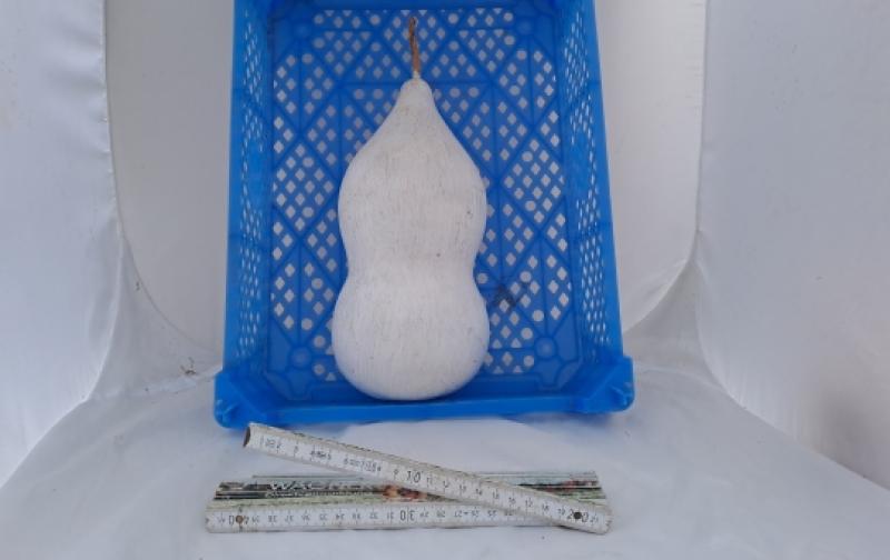 Kalebassen – Rohling Typ „Xiaohulu“ 27 cm - grundiert