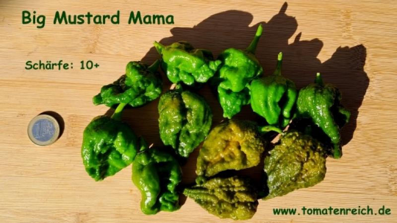 Big Mustard Mama - Chili