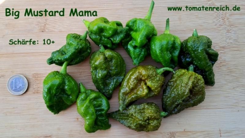 Big Mustard Mama - Chili
