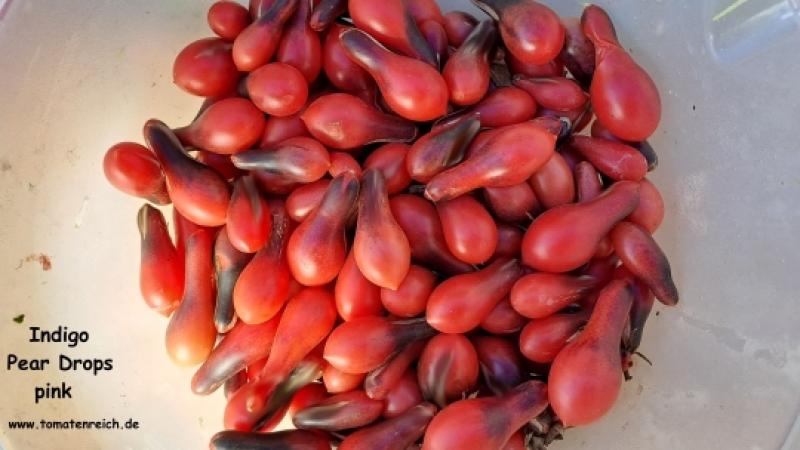 Indigo Pear Drops Pink