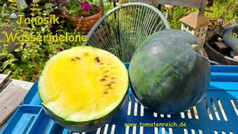 Janosik - Gelbe Wassermelone