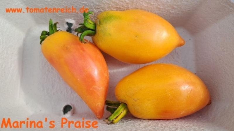 Marina's Praise - Marina's Lob