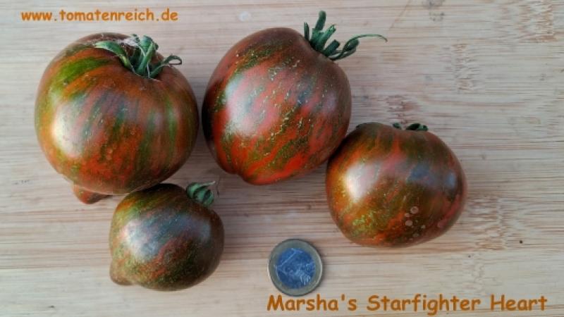 Marsha's Starfighter Tomate