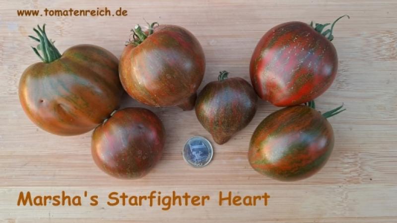Marsha's Starfighter Tomate