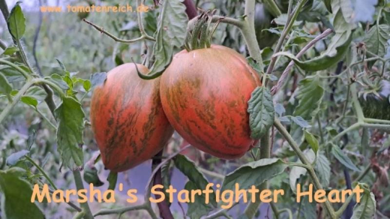 Marsha's Starfighter Tomate