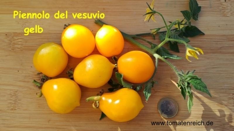 Piennolo del Vesuvia gelb