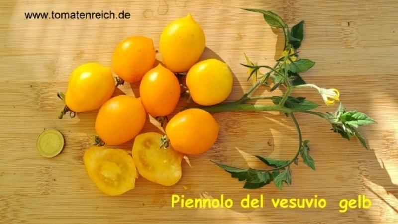 Piennolo del Vesuvia gelb