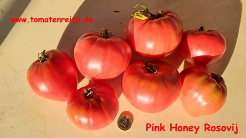 Pink Honey Rosovij  - Herztomate
