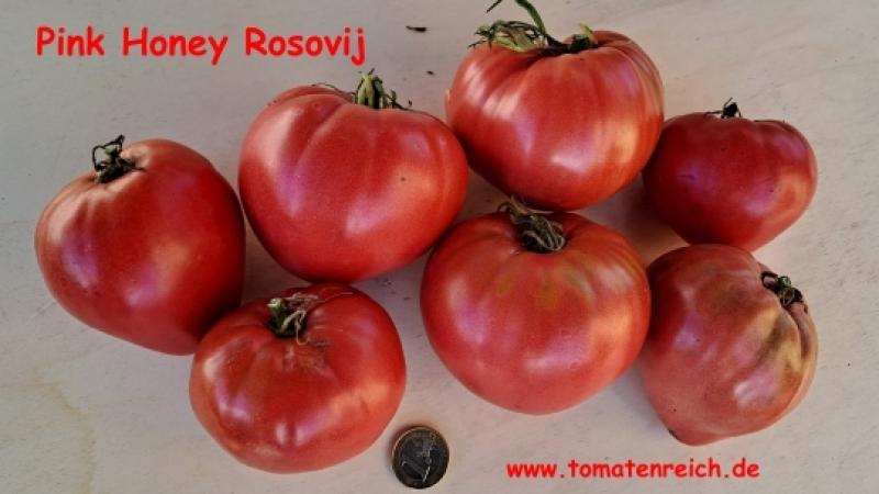 Pink Honey Rosovij  - Herztomate
