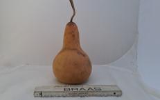 Kalebasse mit Bauch und Hals  cm Typ  "Kettle Gourd" 21 cm