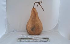 Kalebasse mit Bauch und Hals  28 cm Typ  "Kettle Gourd" - "Birne"