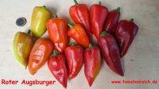 Roter Augsburger Paprika