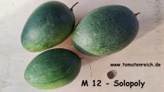 M 12 Solopoly - Wassermelone